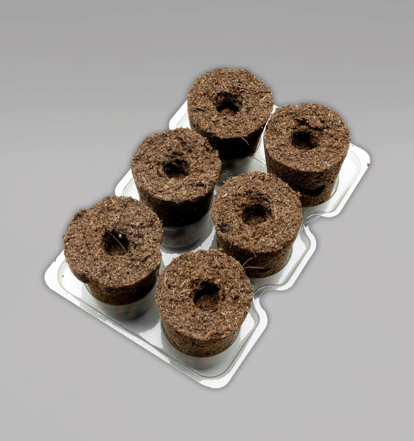 6er Pack Hempire Stecklingsblock groß